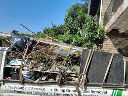 Best Electronics and E-Waste Disposal  in Papillion, NE